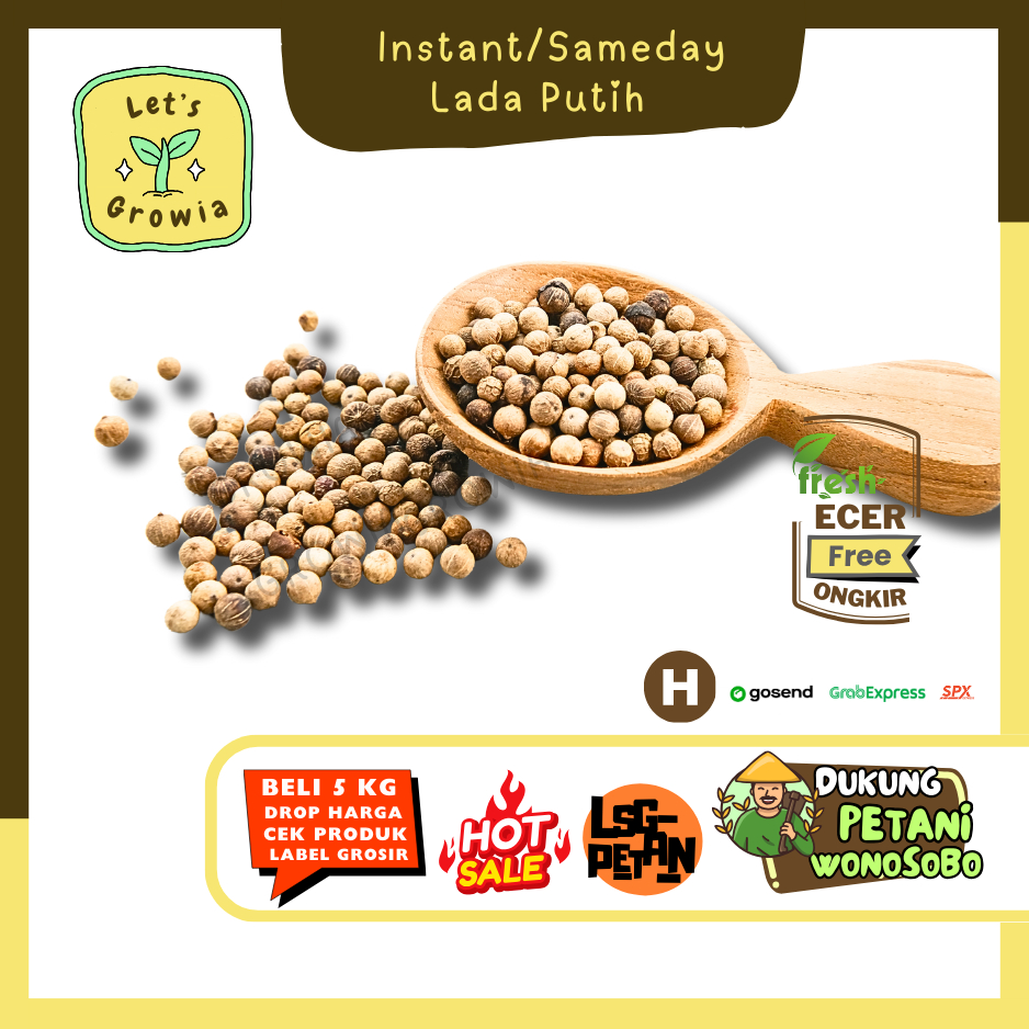 

Growia | Lada Putih -- Hasil Petani Langsung Ecer(H)