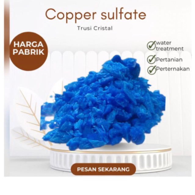 TERUSI KRISTAL/PEMBIRU AIR KOLAM/1 KG