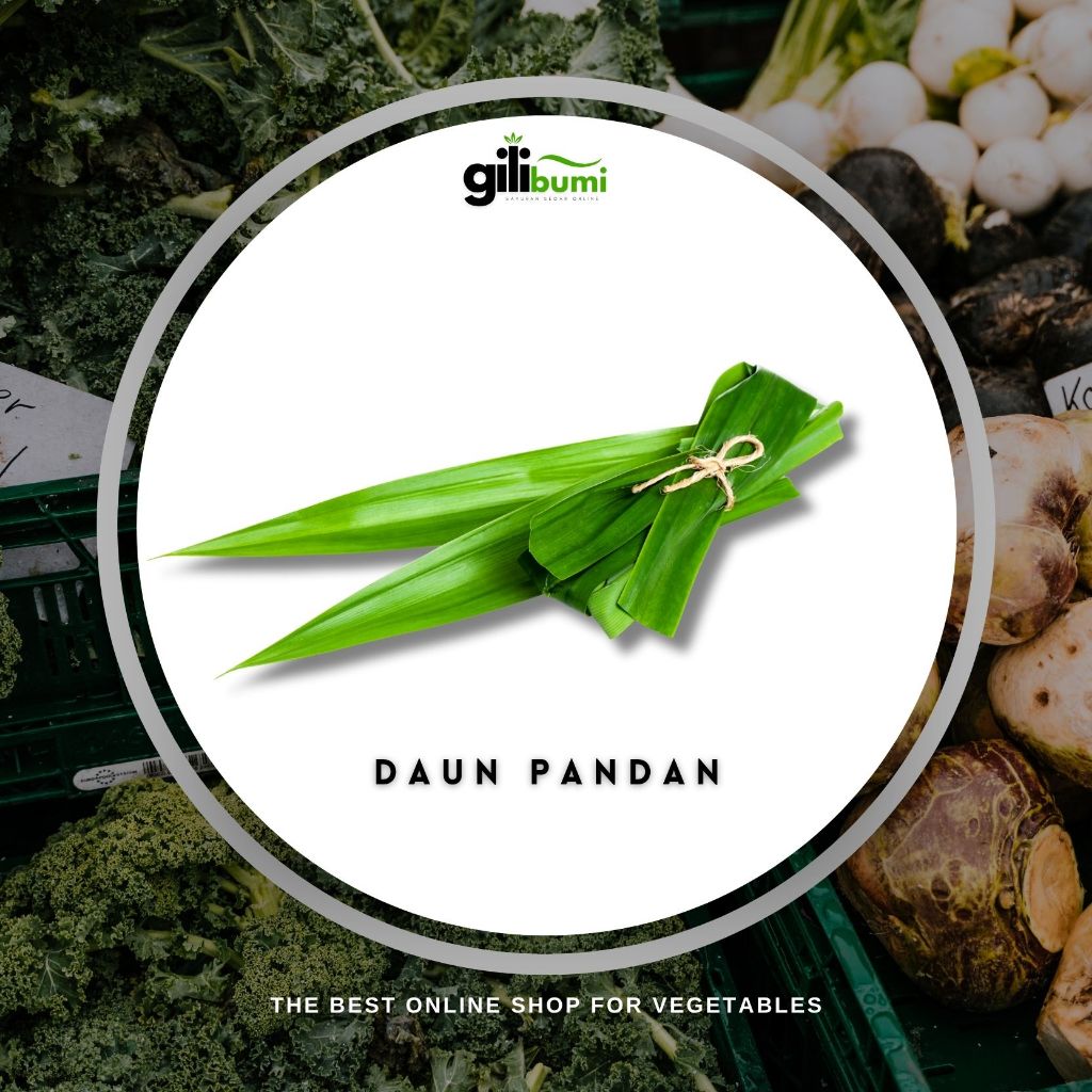 

Daun Pandan Segar 1 Ikat
