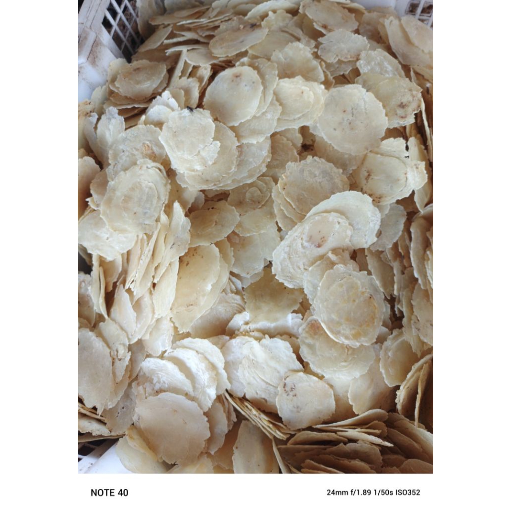 

EMPING MELINJO/emping kering/melinjo 500gram..