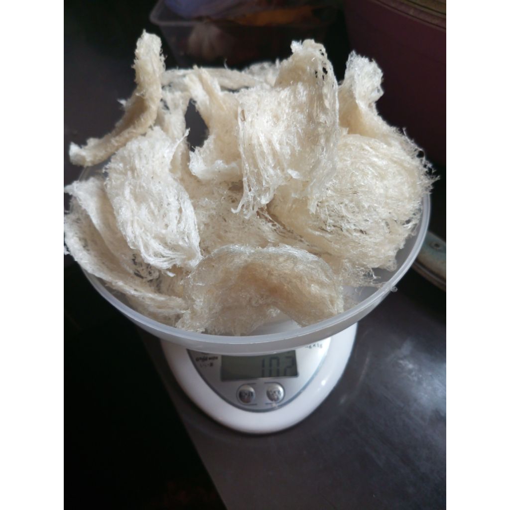 

sarang walet asli(bersih)patahan/lempengan harga per 1gram,min beli 5gram