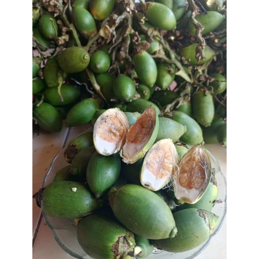 

buah pinang muda frees/1kg herbal teradisional.bikin papah kuat mamah puas