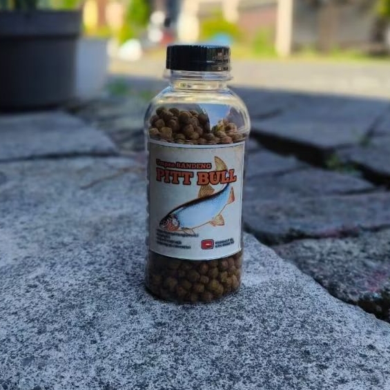 UMPAN JADI OTOK OTOK PITT BULL KHUSUS TARGET BANDENG