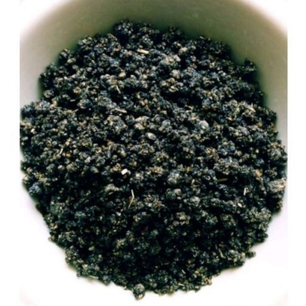 

tiwul hitam khas trenggalek