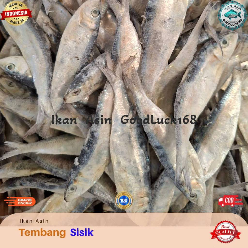 

Ikan Asin Tembang Sisik Super