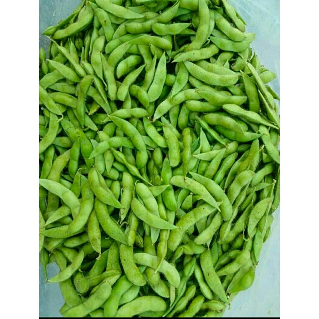 

KACANG EDAMAME