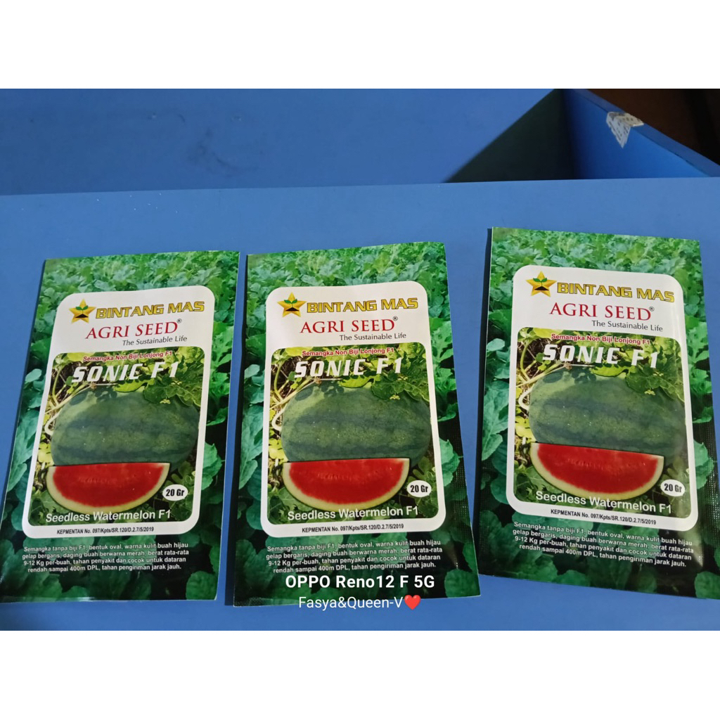 

semangka sonic non biji lonjong