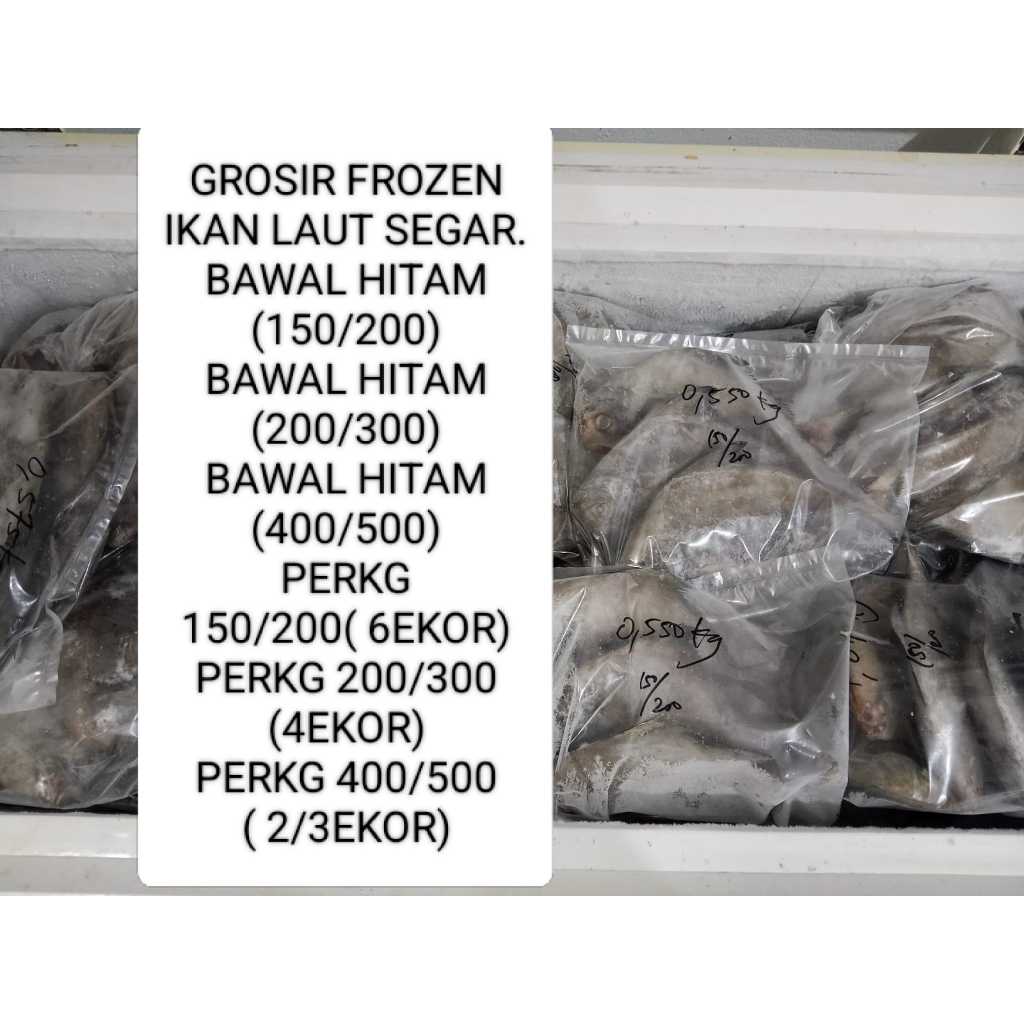 

GROSIR frozen ikan bawal HITAM beku ikan bawal laut segar