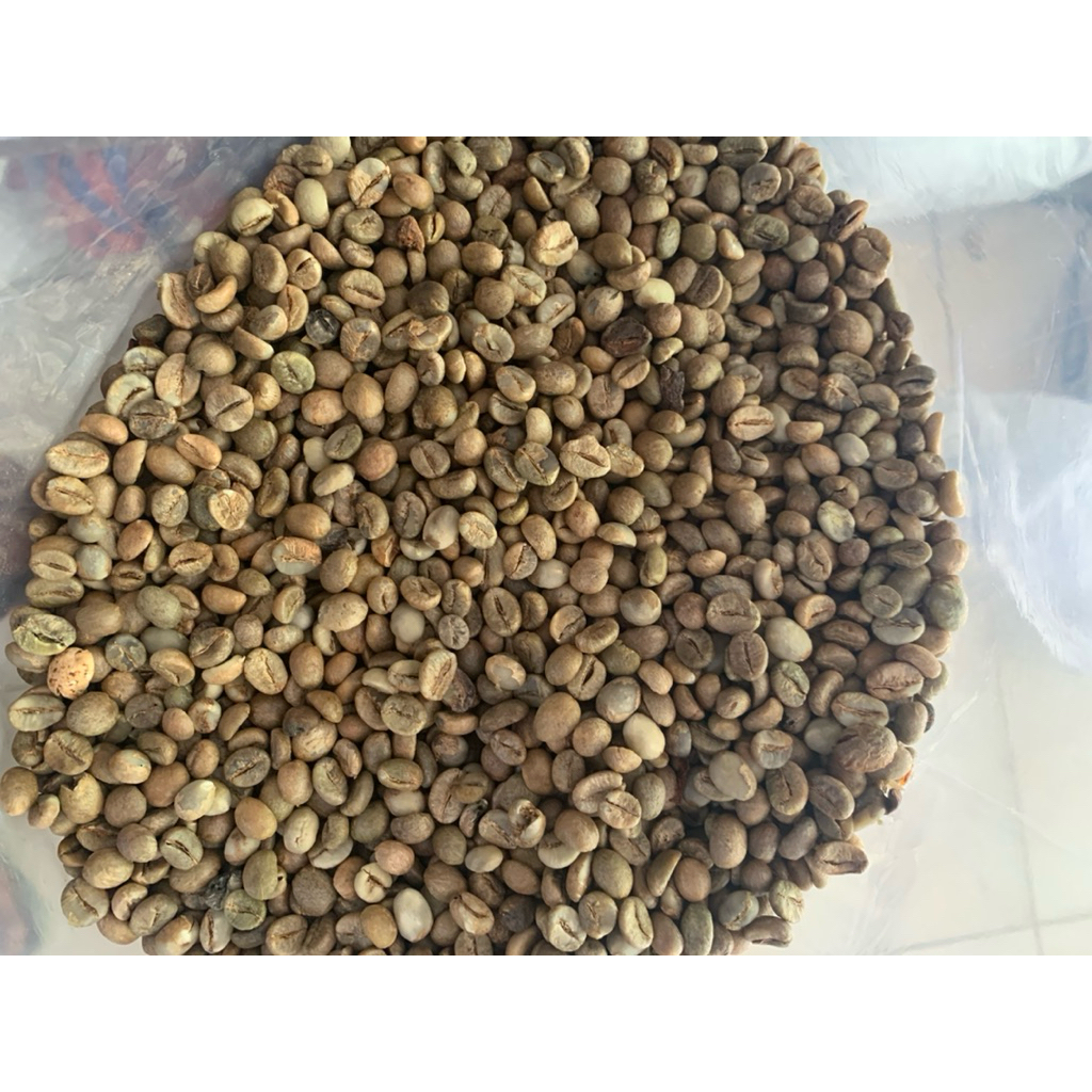 

Biji Kering Kopi Robusta 1 Kg / green bean Sumatra Barat
