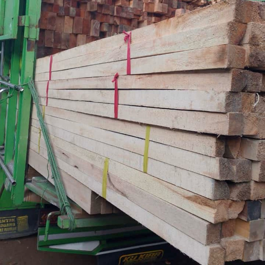 Kaso Alba 3 meter Per Ikat Isi 6 Batang Kayu Kaso Albasia Kaso Alba Kaso Semi