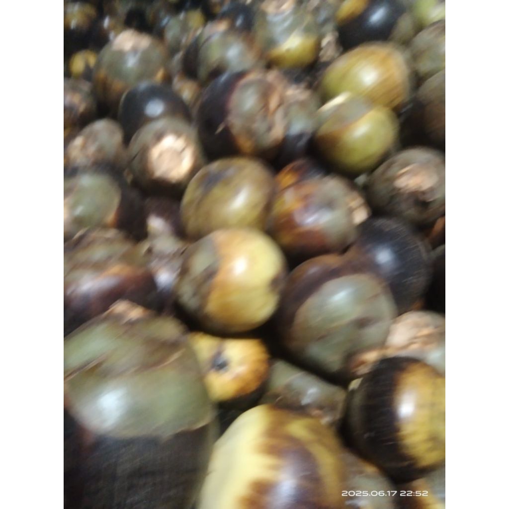 

BUAH LONTAR SEGAR UTUH ISI 3 BIJI PEREDA PANAS DALAM