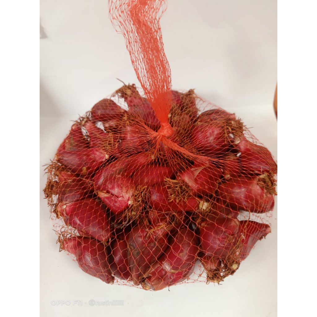 

Bawang Dayak Segar 1kg Tanaman Herbal Alami