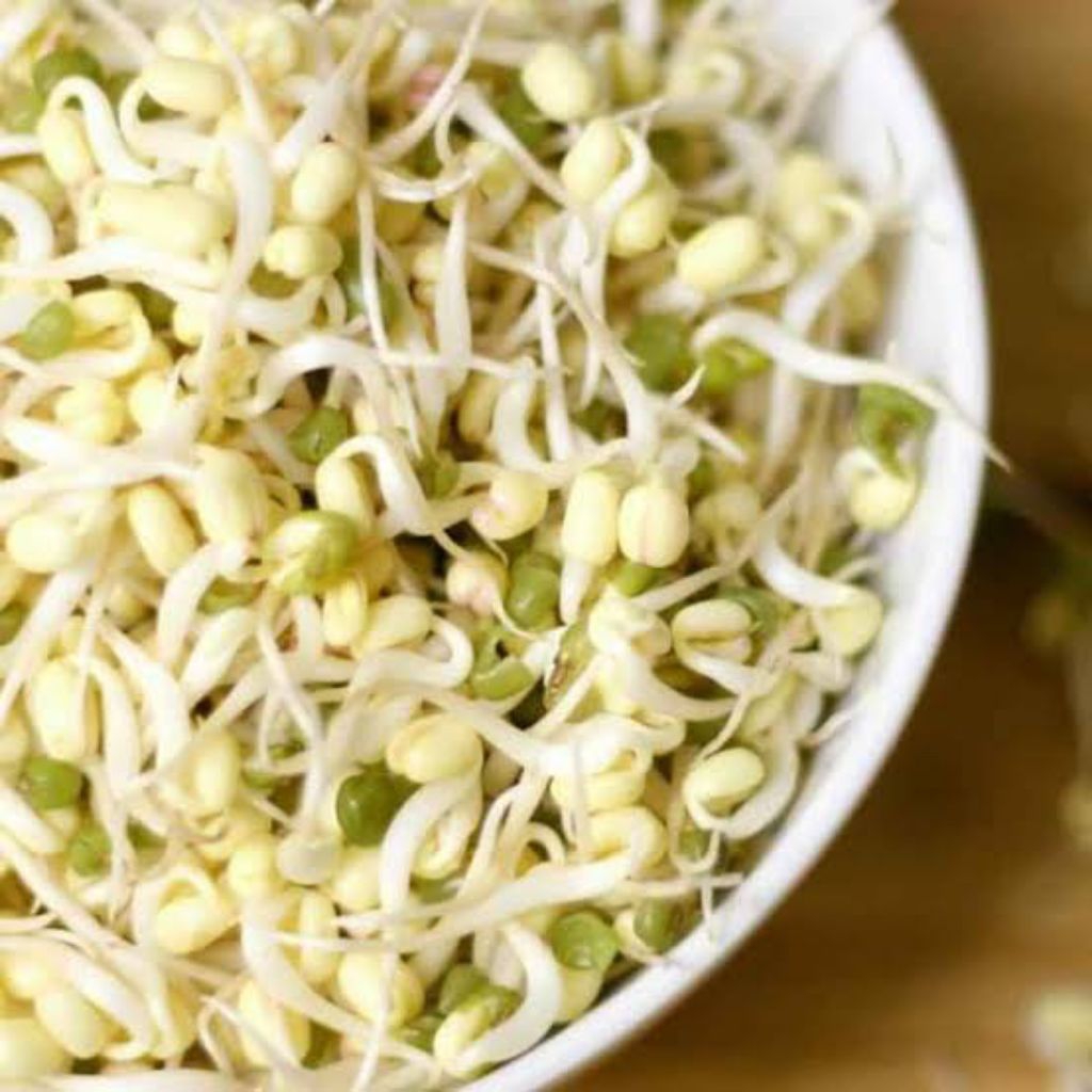 

kecambah / toge pendek 250gr