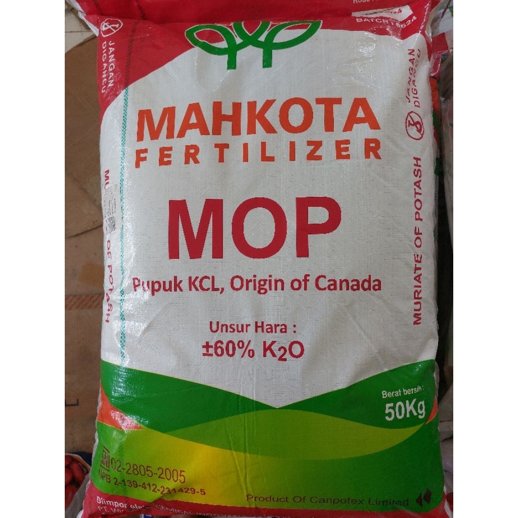KCL MAHKOTA CANADA Kemasan 50 KG