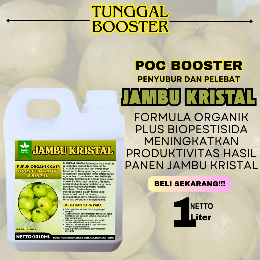Pupuk Organik cair Tanman Jambu Kristal/Pupuk Buah Jambu Kristal/Pupuk Jambu Kristal Agar Cepat Berb