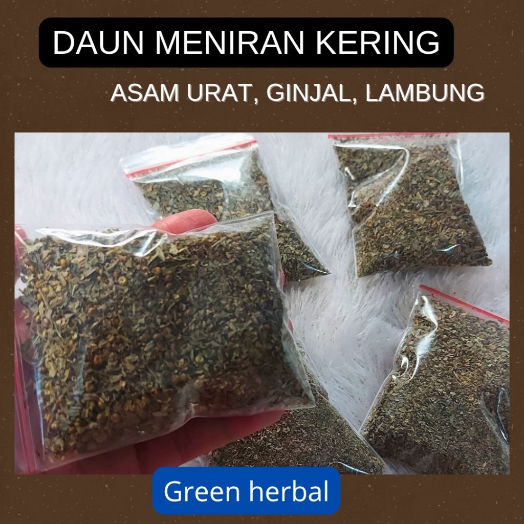 

Daun Meniran Kering Atasi Asam urat, ginjal dan lambung