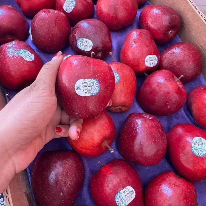 

APEL MERAH RED DELICIUS 1kg