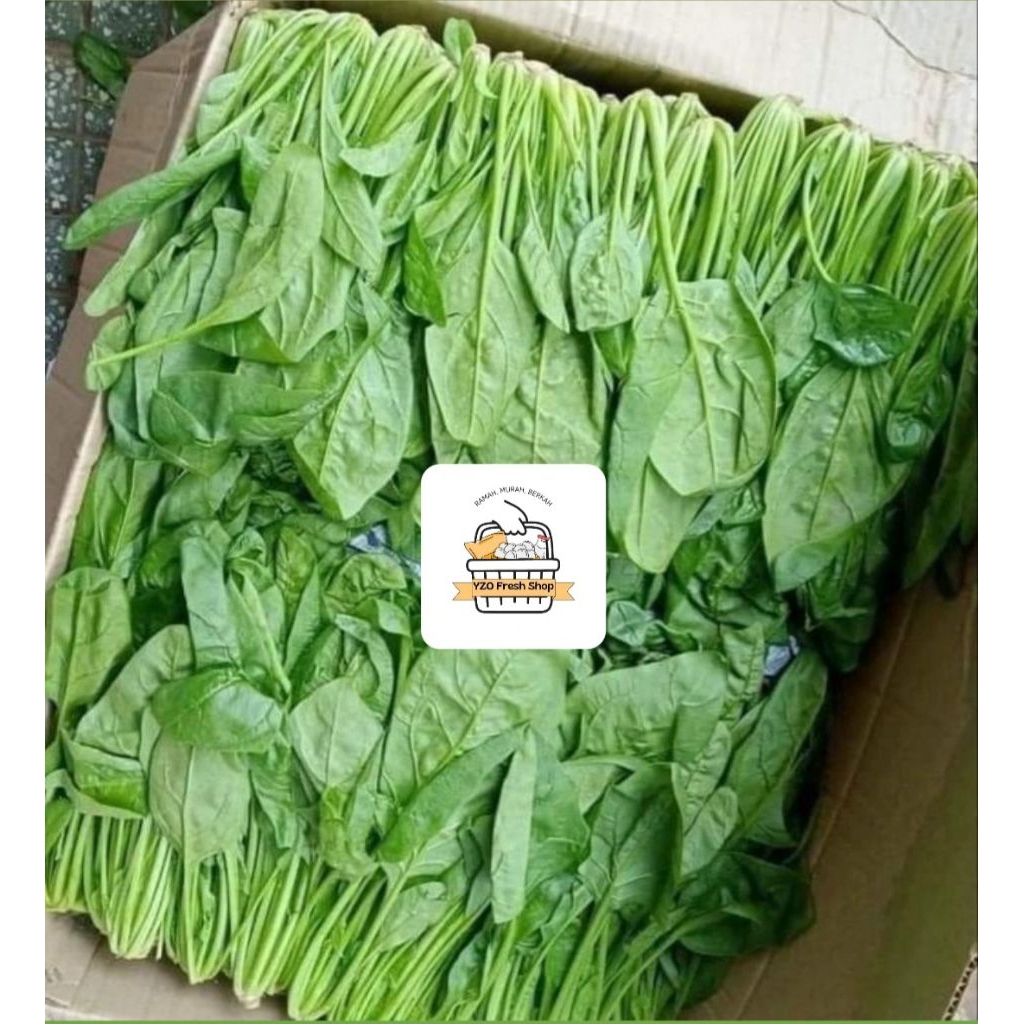 

Sayur cesim Hijau / Cesim Seger/ Sawi Hijau / perikat