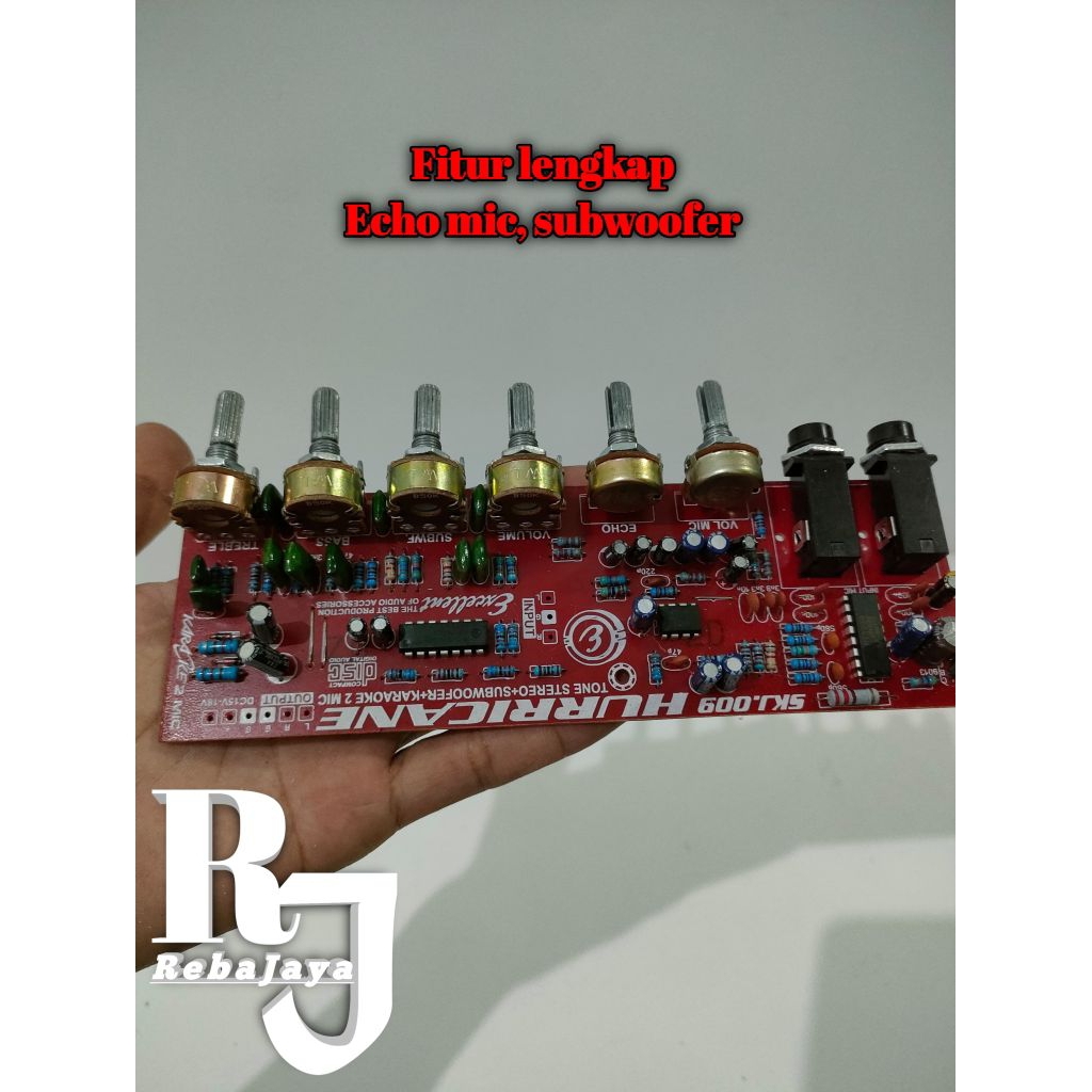 Tone control stereo subwoofer echo