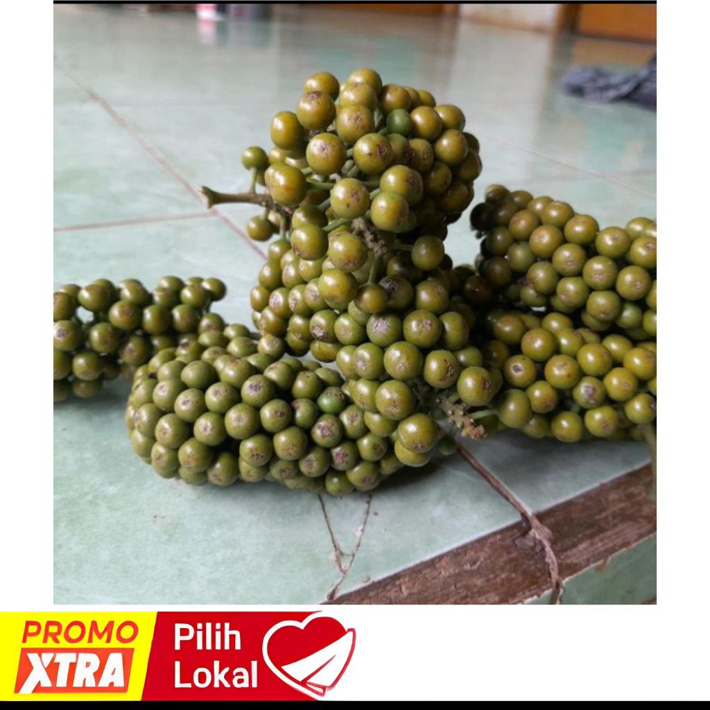 

BUAH KEMUKUS FRESH 1KG DI AMBIL KETIKA ADA ORDERAN