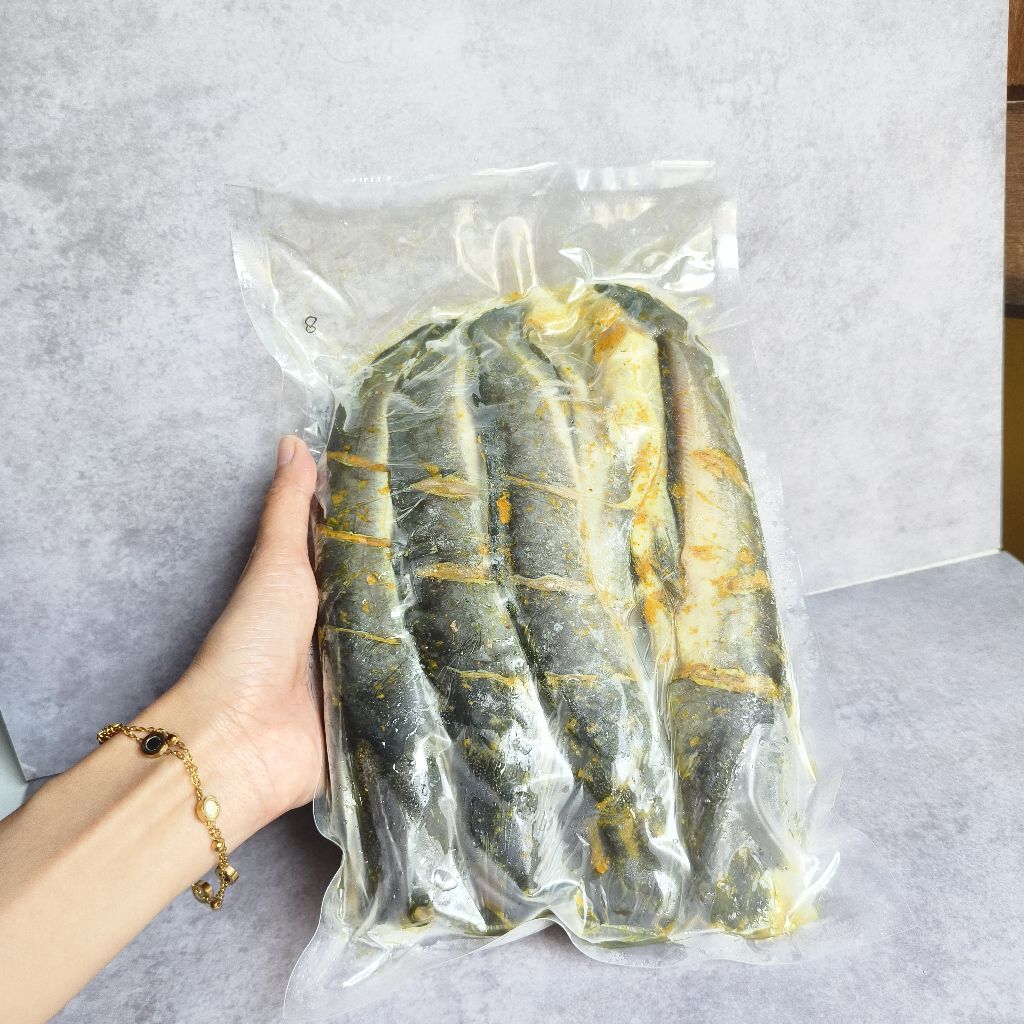 

(IKAN UTUH) Lele Organik | Pakan Probiotik Bumbu Kuning