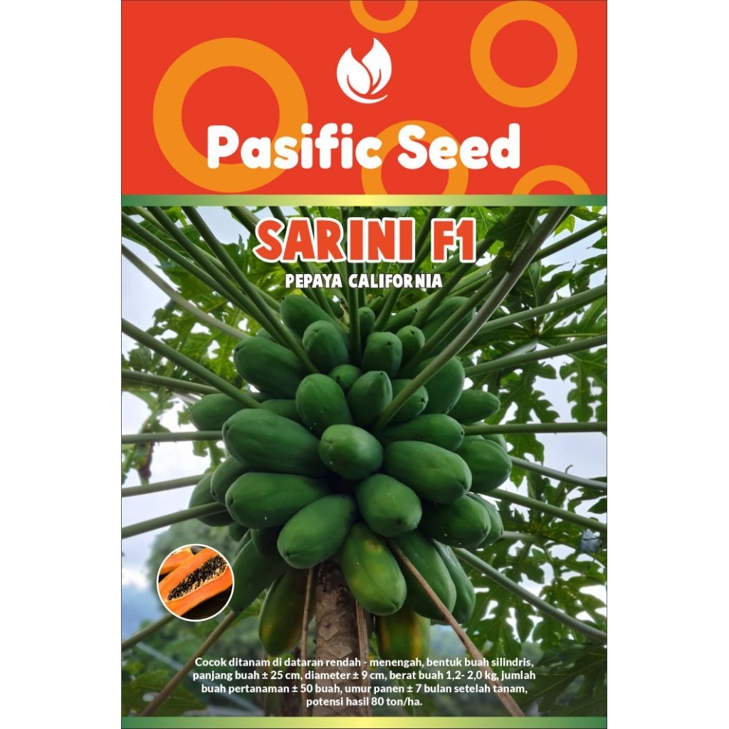 

Pepaya California SARINI