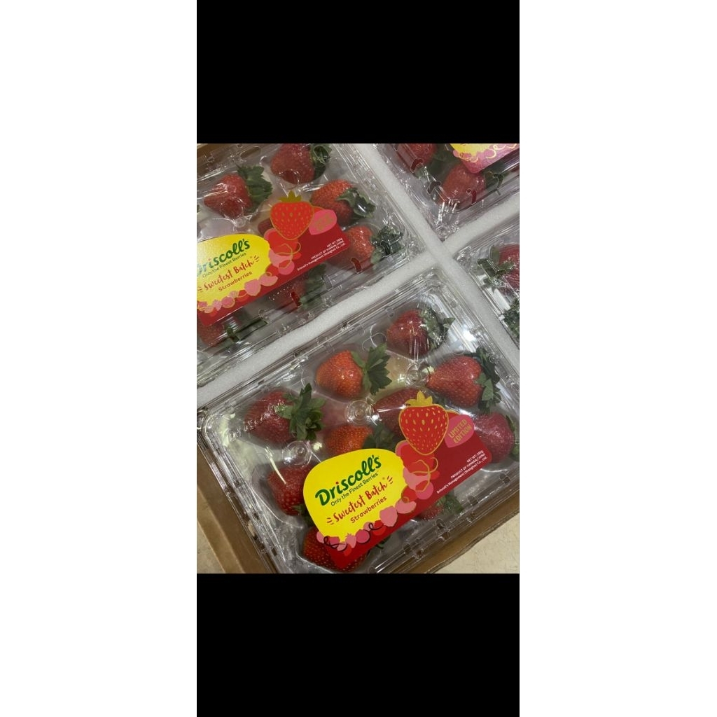 

BUAH STRAWBERRY IMPORT. USA. KOREA. RRC. AUSI FRESH SEGAR. IMPOR ASLI ENAK