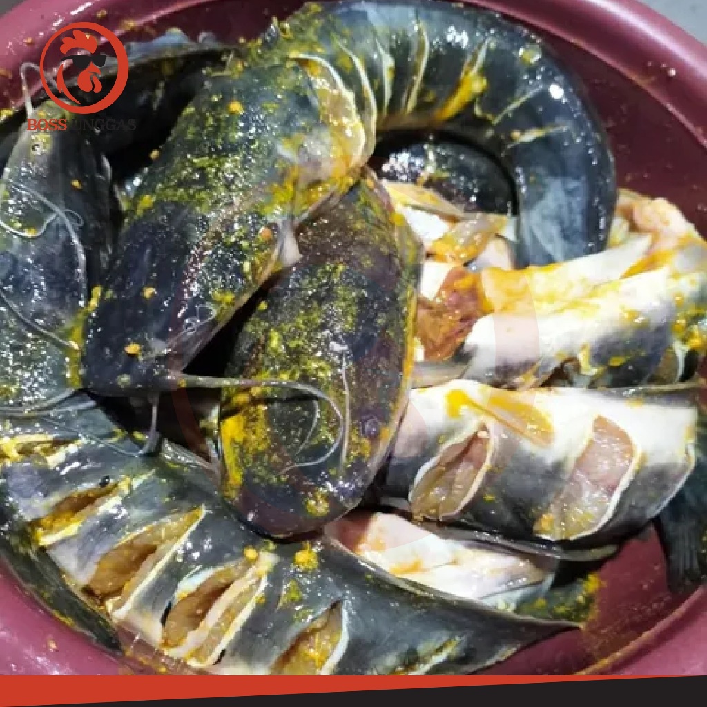 

Boss Unggas - Ikan Lele Ungkep 1kg Tinggal Goreng