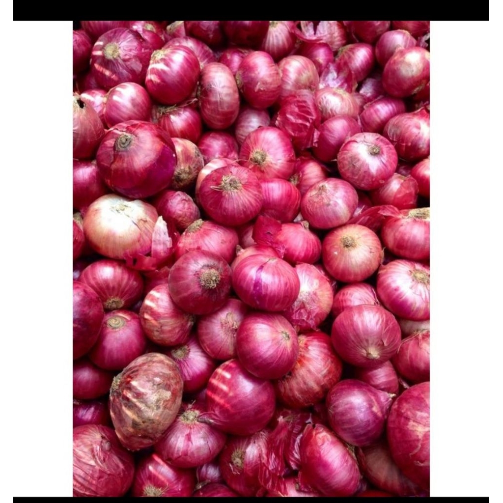 

bawangmerah super 1kg 45000