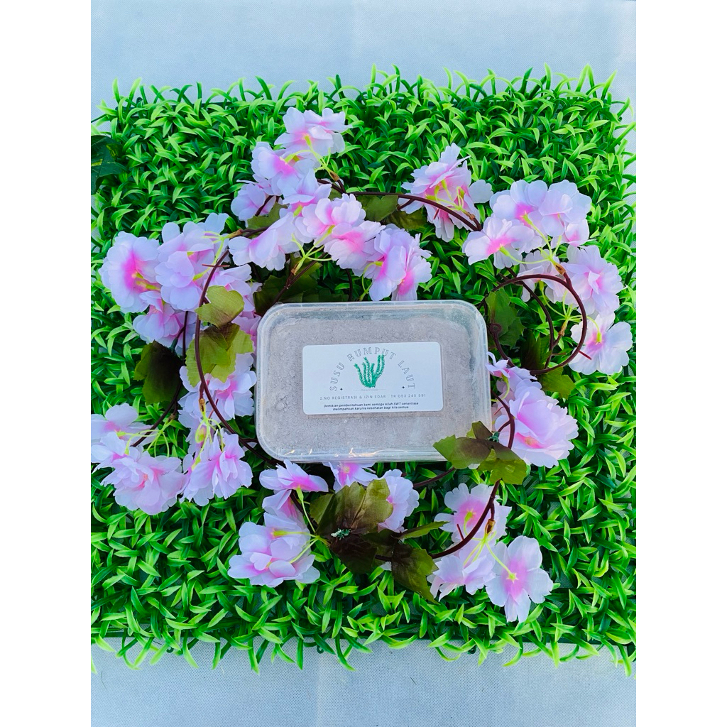 

susu rumput laut/original bahan alami