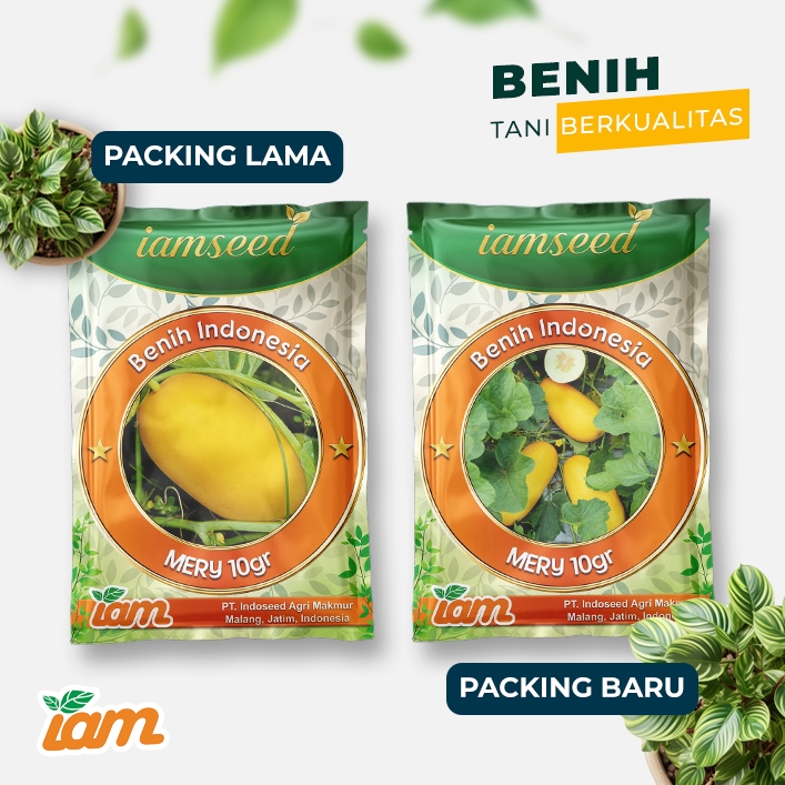 

Mery 10gr | Timun suri