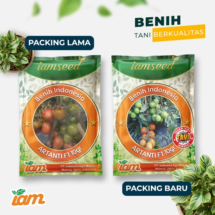 

Artanti F1 10gr | Tomat dataran tinggi