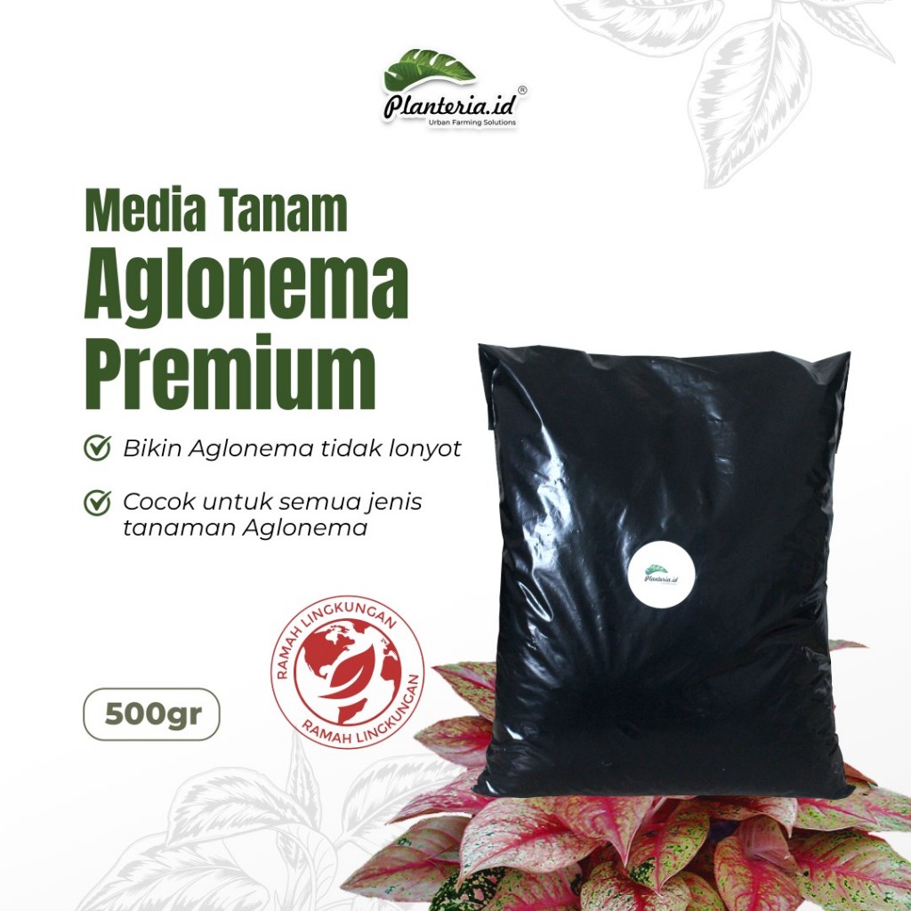 Media Tanam Aglonema Fermentasi Media Tanam Premium Aglonema