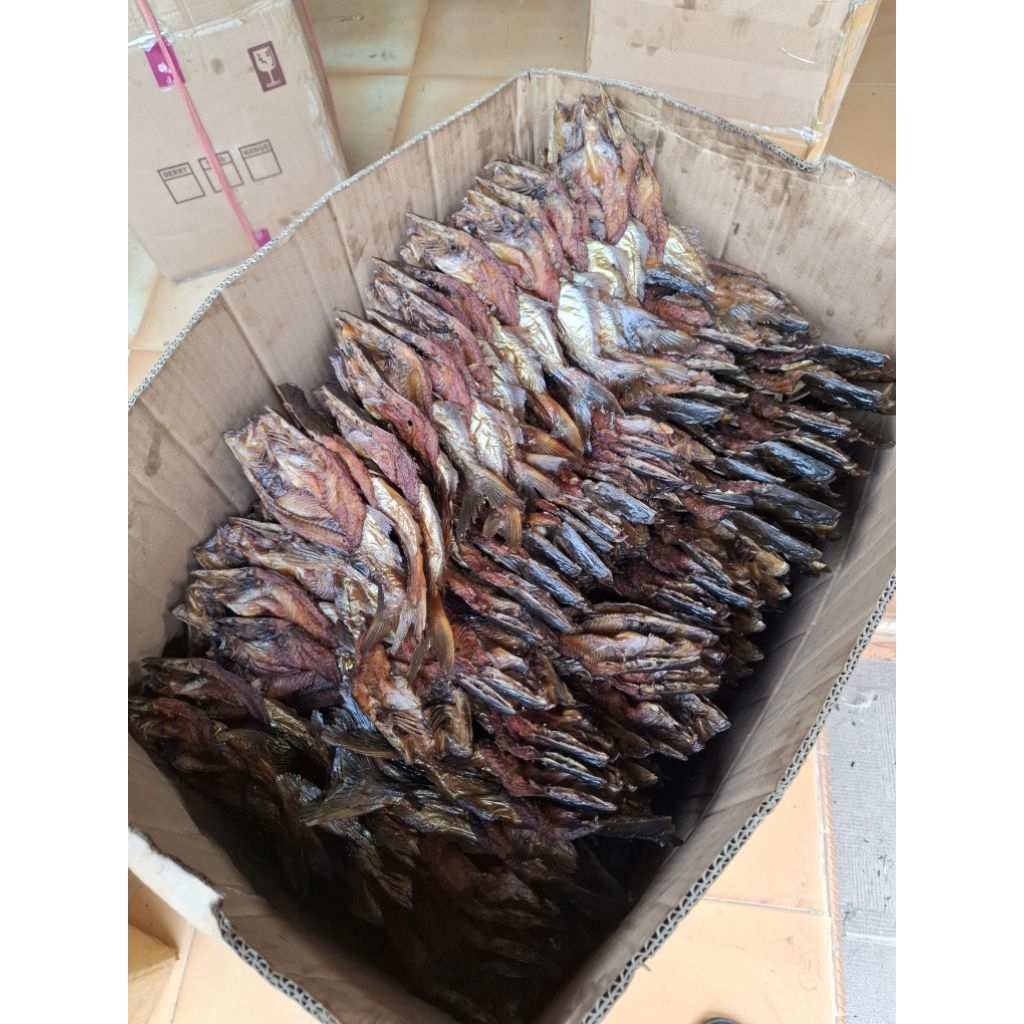 

IKAN SALAI PATIN (ASAP)