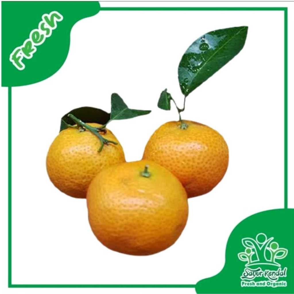 

Jeruk Santang Daun - Sayur Kendal