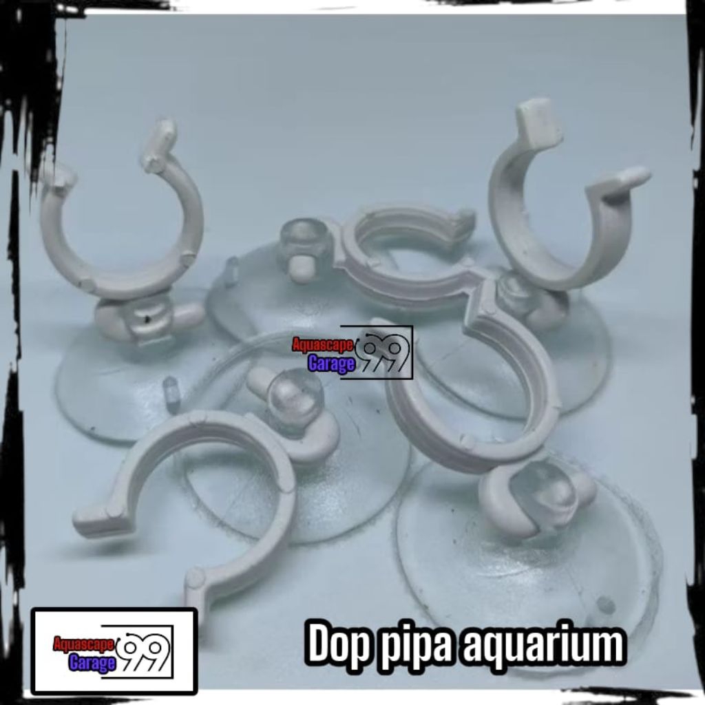 dop pipa aquarium / dop pipa