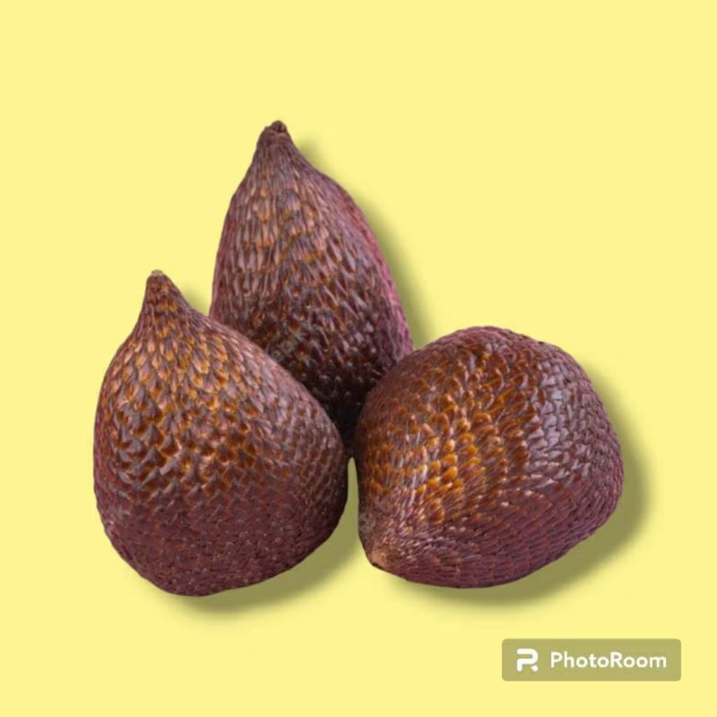 

Replika buah salak ( 1pcs ) cocok di gunakan untuk mainan anak-anak edulatif / edukasi / etalase toko / artificial / imitasi / dummy / display / hiasan rumah / pajangan / dekorasi