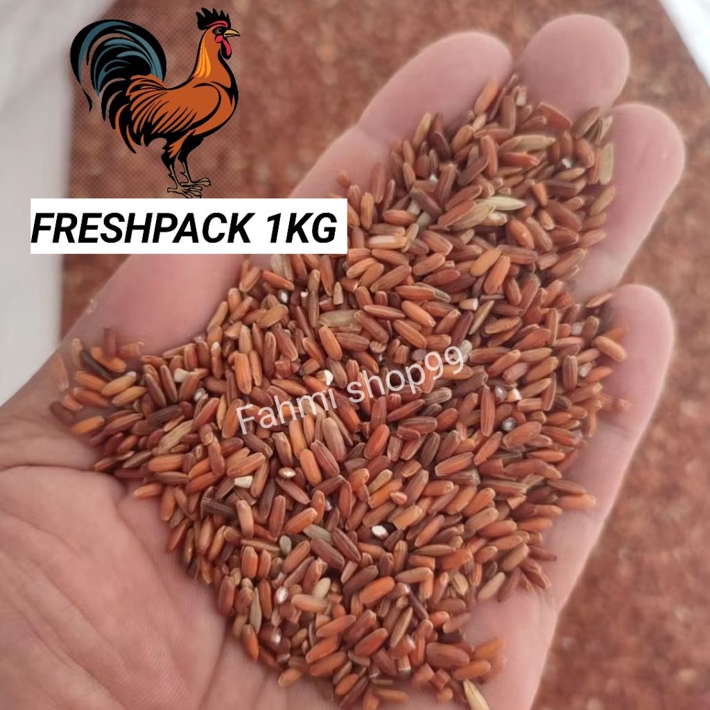 BERAS MERAH KILOAN PAKAN AYAM BERAS MERAH PAKAN UNGGAS BERAS MERAH