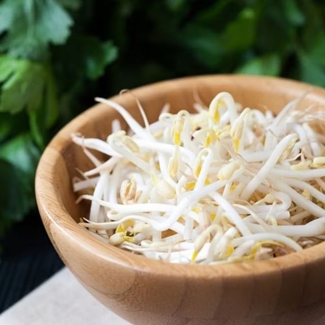 

toge kecambah kacang hijau fresh - Surabaya