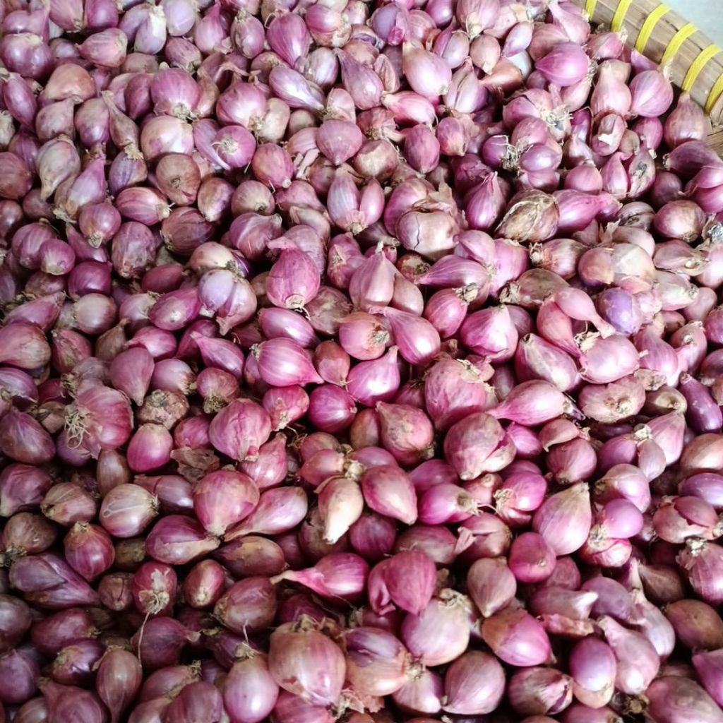 

Bawang merah murah cocok untuk bumbu