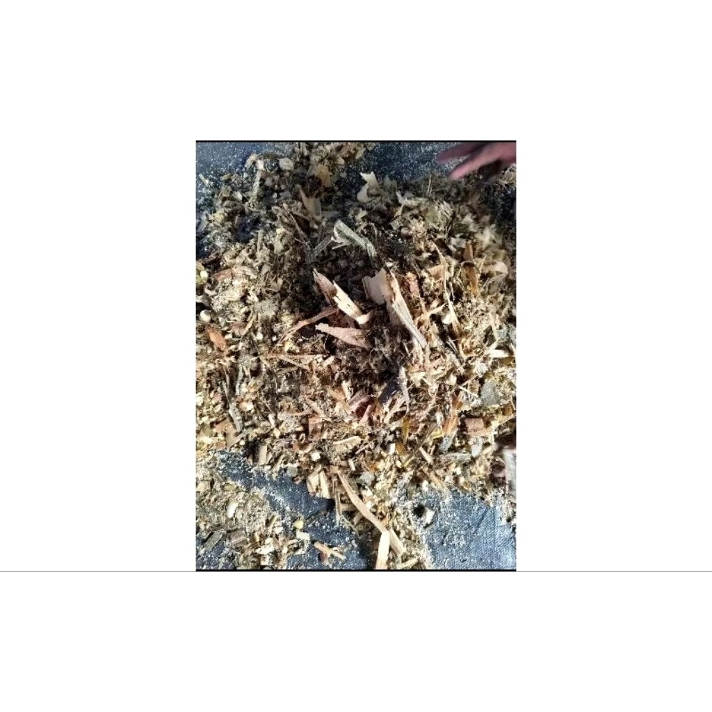 Silase pakan ternak 10 kg