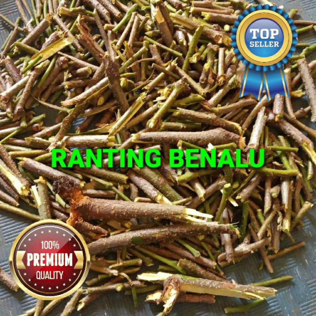 

Ranting/batang benalu jeruk premium grade A+ 1 kg/1000 gram