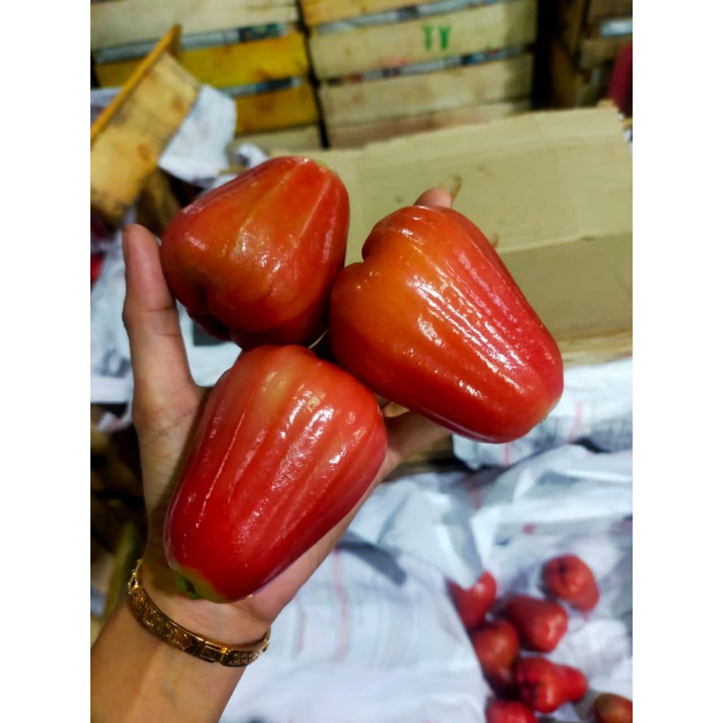 

jambu citra