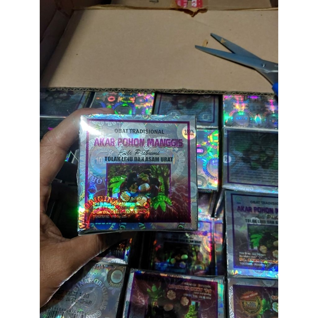 kapsul herbal asam urat akar pohon manggis