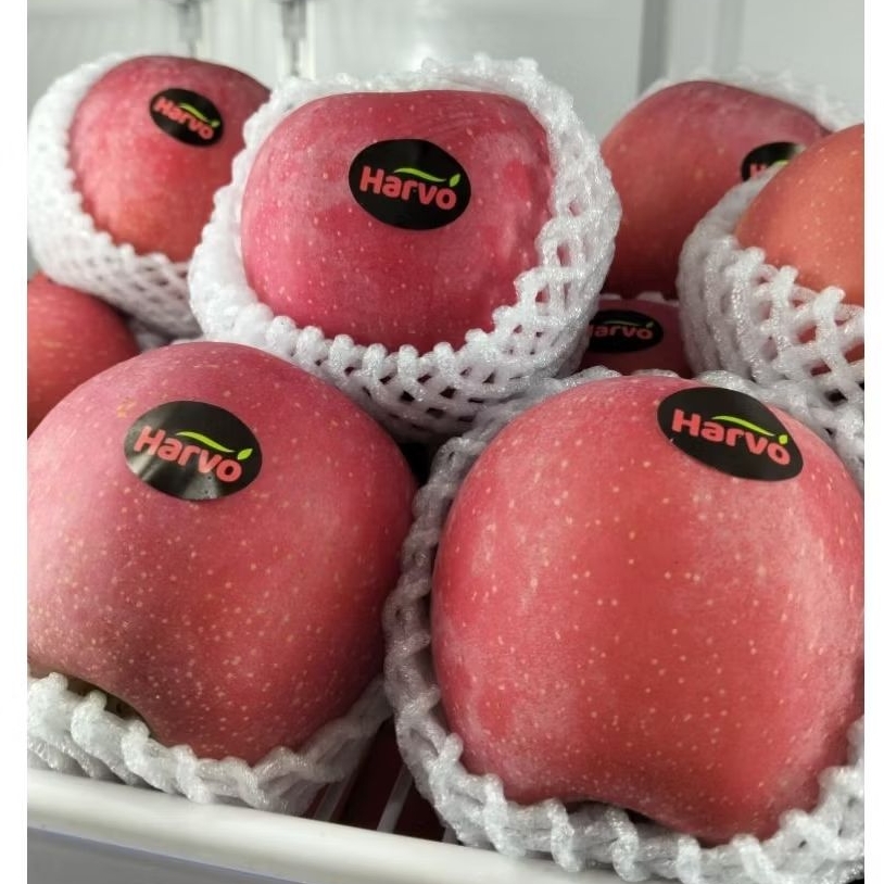 

Apel Fuji Premium Harvo - Apel Fuji 1kg - manis segar garing