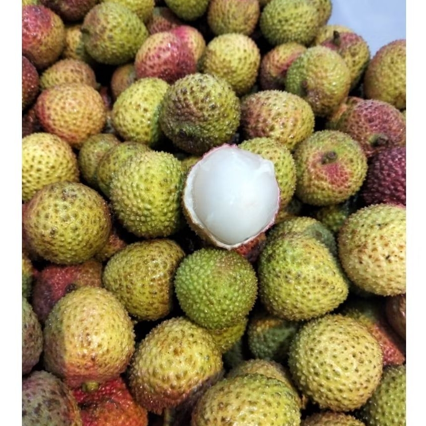 

Buah Leci 1kg - Lychee manis segar