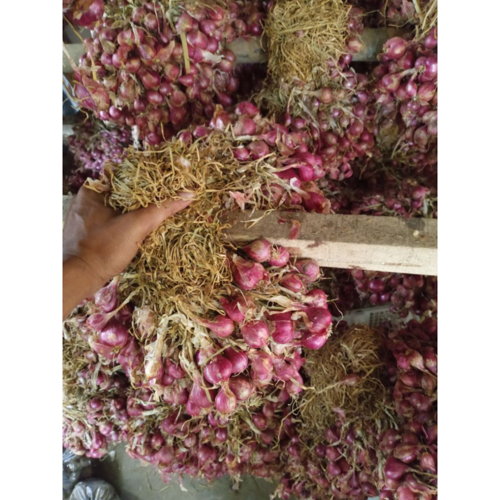 

BAWANG MERAH ASLI PROBOLINGGO 1KG UKURAN TANGGUNG