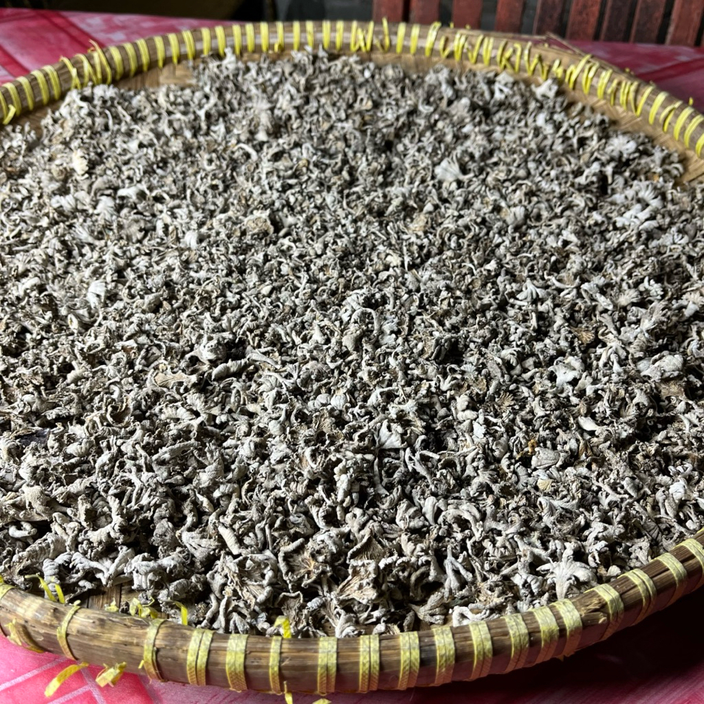 

jamur grigit tihau gigit jamur kering jamur gigit 150gram
