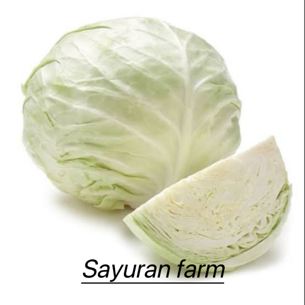

sayur kol/kubis 1kg - sayuran farm