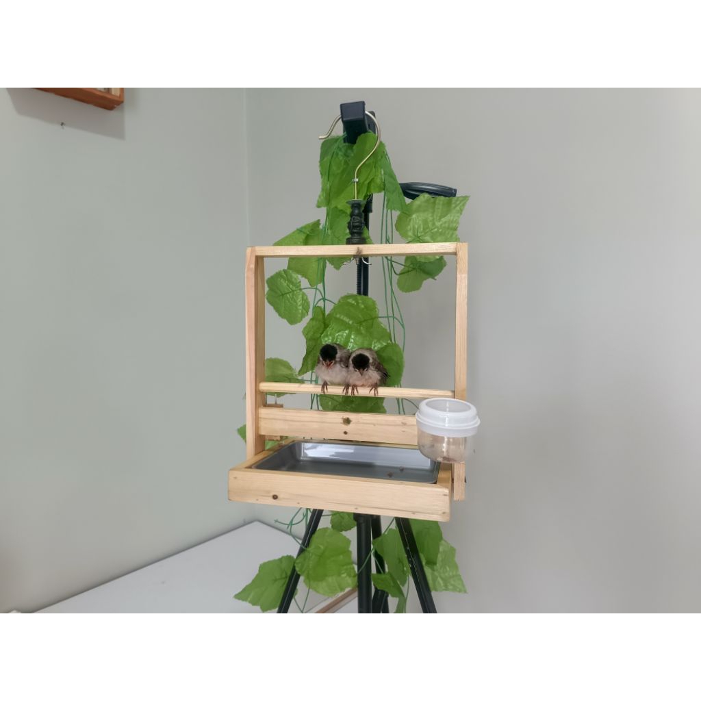 Sangkar Layang Kayu Baki Mini Polos Aesthetic